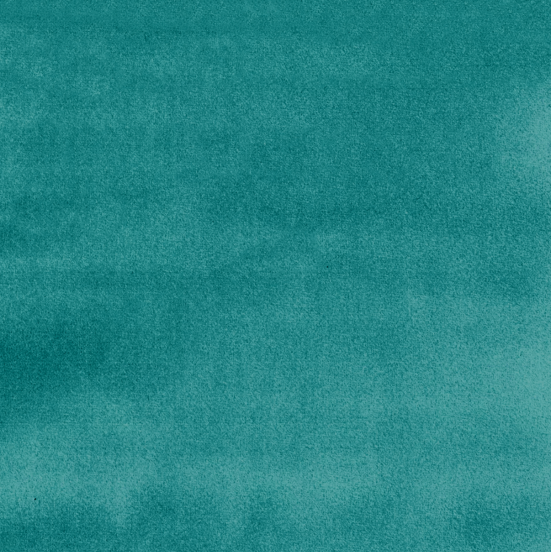 Plush Velvet Fabric by the Metre